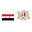 سفارة الجمهورية العربية السورية في القاهرة